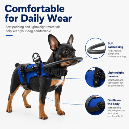Ortekor Adjustable Dog Bumper Ring Harness for Safer Home Walking - Helps Blind & Senior Dogs Avoid Wall & Furniture Bumps