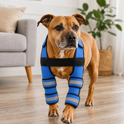 Ortekor Dog Double Front Leg Support Brace for Unsteady Walking - Chest Harness with Internal Metal Support Inserts