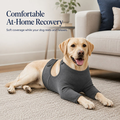 Ortekor Dog Front Leg Recovery Suit for At-Home Care - Helps Deter Licking