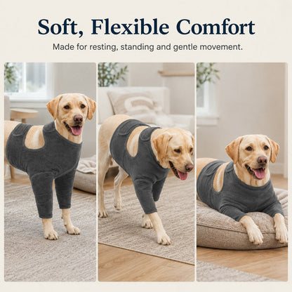 Ortekor Dog Front Leg Recovery Suit for At-Home Care - Helps Deter Licking