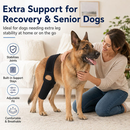 Ortekor Adjustable Dog Joint Support Brace for Daily Walks & Senior Leg Stability