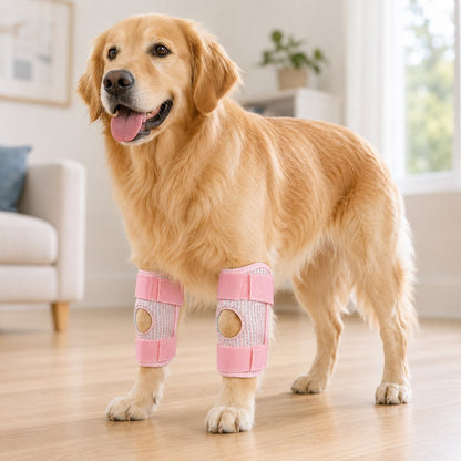 Ortekor Dog Knee Support Brace for Front & Rear Legs - Adjustable Joint Support Sleeve for Senior Dogs, Active Dogs & Everyday Mobility Assistance