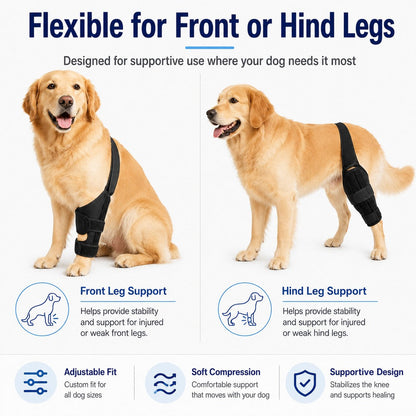Ortekor Adjustable Dog Leg Support Brace for Daily Walks - Support for Weak Front or Hind Legs