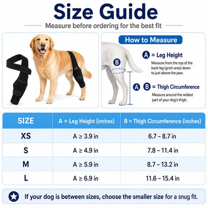 Ortekor Adjustable Dog Leg Support Brace for Daily Walks - Support for Weak Front or Hind Legs