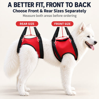 Ortekor Dog Mobility Lift Harness for Senior & Limited-Mobility Dogs - Front, Rear & Full Support for Stairs, Cars & Daily Walking
