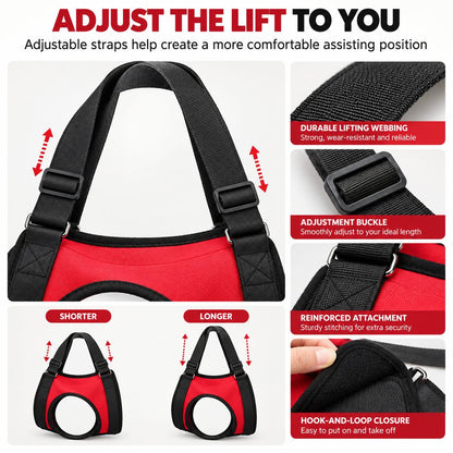 Ortekor Dog Mobility Lift Harness for Senior & Limited-Mobility Dogs - Front, Rear & Full Support for Stairs, Cars & Daily Walking