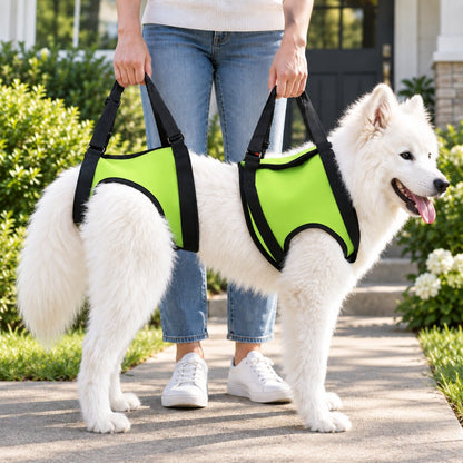 Ortekor Dog Mobility Lift Harness for Senior & Limited-Mobility Dogs - Front, Rear & Full Support for Stairs, Cars & Daily Walking