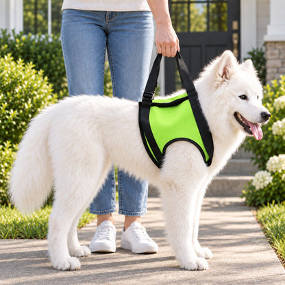 Ortekor Dog Mobility Lift Harness for Senior & Limited-Mobility Dogs - Front, Rear & Full Support for Stairs, Cars & Daily Walking