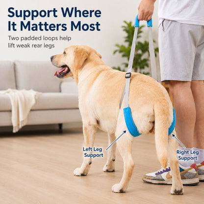 Ortekor Dog Rear Leg Lift Support Sling for Stairs & Cars - Senior Dog Mobility Support
