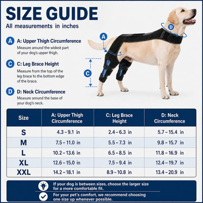 Ortekor Dog Rear Leg Support Harness for Senior Dogs - Dual Hind Leg Mobility Aid for Walking & Standing