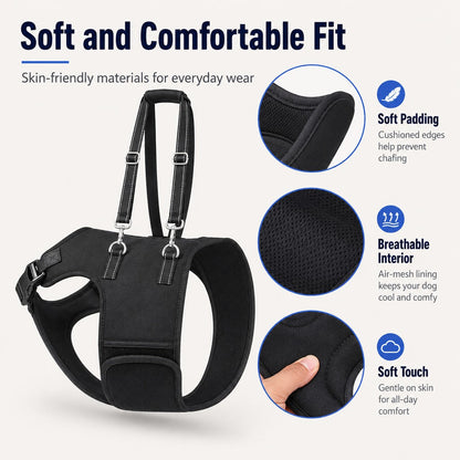 Ortekor Dog Rear Leg Support Harness for Senior Dogs - Walking & Mobility Lift Assistance