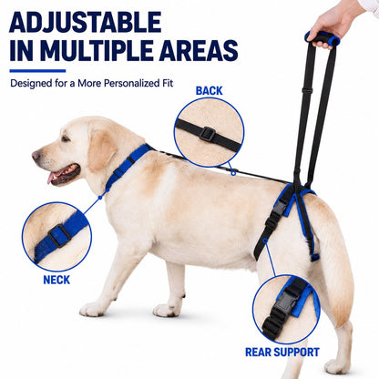 Ortekor Adjustable Dog Rear Lift Support Harness - Hind Leg Assistance for Stairs, Car Entry & Daily Walks