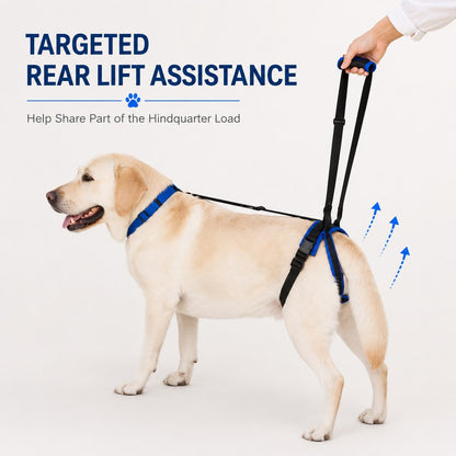 Ortekor Adjustable Dog Rear Lift Support Harness - Hind Leg Assistance for Stairs, Car Entry & Daily Walks