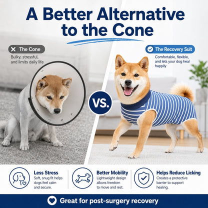 Ortekor Dog Post-Surgery Recovery Suit for Spay & Neuter - Anti-Lick Cone Alternative