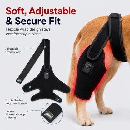 Ortekor Red light therapy leg brace for dogs, suitable for senior and active dogs, provides comfort and support for hind legs during activity.