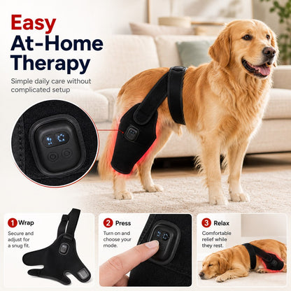 Ortekor Red light therapy leg brace for dogs, suitable for senior and active dogs, provides comfort and support for hind legs during activity.