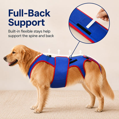 Ortekor Dog Spine Support Vest for Senior & Recovery Dogs - Adjustable Back Support for Walking & Daily Mobility