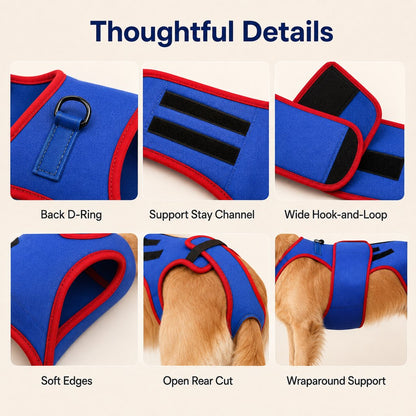 Ortekor Dog Spine Support Vest for Senior & Recovery Dogs - Adjustable Back Support for Walking & Daily Mobility