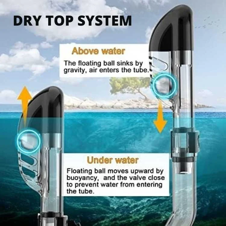 Aqua Explorer | Full Face Snorkeling Mask with Dry Top System | 180° Panoramic View for Effortless Breathing