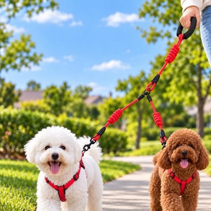 Ortekor Dual Dog Leash with Shock-Absorbing Bungee & Padded Handle for Easier Two-Dog Walks