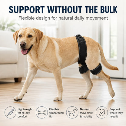 Ortekor Dog Hip & Rear Leg Support Brace – Adjustable Dual Hind-Leg Stability Wrap for Senior Dogs, Hardwood Floors & Daily Walks