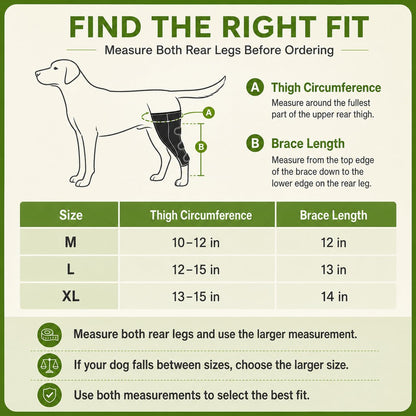 Ortekor Dual Rear Leg Dog Support Brace with Harness - Walking Stability for Weak Hind Legs