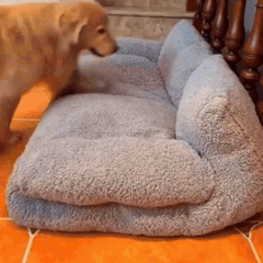 Sofá cama de felpa para mascotas Ortekor con funda lavable y base antideslizante | Cómodo sofá para perros para un confort máximo