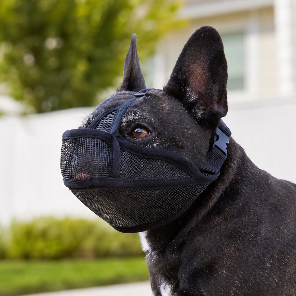 Ortekor French Bulldog Breathable Mesh Muzzle for Walks, Grooming & Scavenging Control - Drink-Friendly Short-Snout Dog Muzzle
