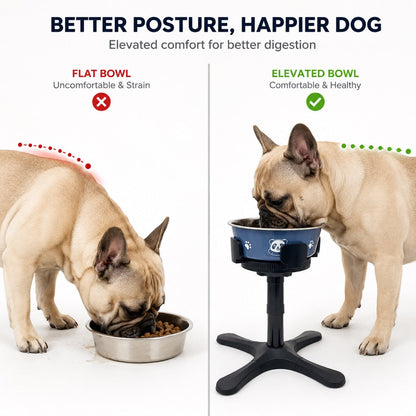 Ortekor French Bulldog Adjustable Elevated Tilted Dog Bowl for Kitchen Feeding Corners - 3-Height Stand with Slow Feeder Insert to Reduce Neck Bending & Mess