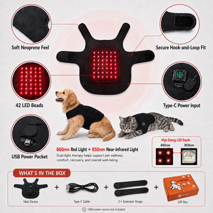 Ortekor FrenchieGlow Red Light Comfort Vest for French Bulldogs - USB-Powered or Built-In Battery At-Home Back, Belly & Hip Comfort After Walks, Stairs & Playtime