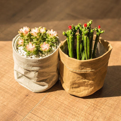 Water-Resistant Sustainable Paper Planter Pouch