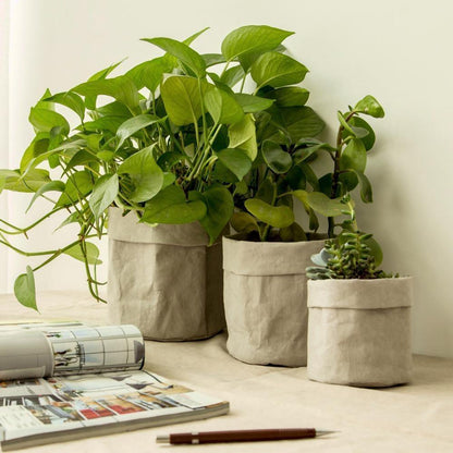 Water-Resistant Sustainable Paper Planter Pouch