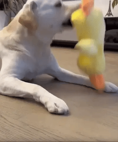 QUACKPAWS – Interactive Plush Dog Toy with Quacking Sound