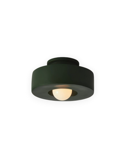 12-Inch Flush Mount LED Ceiling Light Fixture Resin Disc Contemporary Round Panel for Bedroom Hallway Living Room 3000K Warm Glow