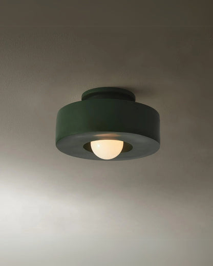 12-Inch Flush Mount LED Ceiling Light Fixture Resin Disc Contemporary Round Panel for Bedroom Hallway Living Room 3000K Warm Glow