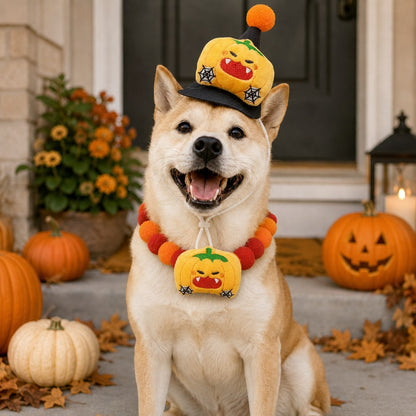 Ortekor Halloween Pet Hat & Pom-Pom Collar Set for Dogs & Cats – Easy 2-Piece Costume for Parties, Trick-or-Treating & Photos
