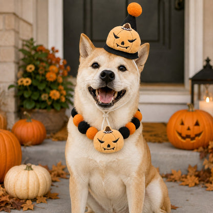 Ortekor Halloween Pet Hat & Pom-Pom Collar Set for Dogs & Cats – Easy 2-Piece Costume for Parties, Trick-or-Treating & Photos
