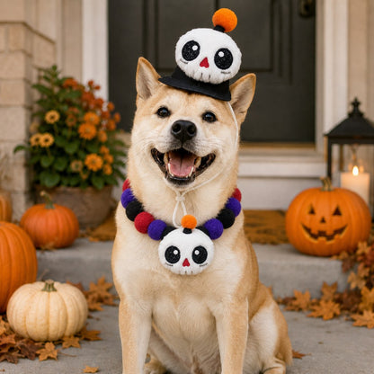 Ortekor Halloween Pet Hat & Pom-Pom Collar Set for Dogs & Cats – Easy 2-Piece Costume for Parties, Trick-or-Treating & Photos