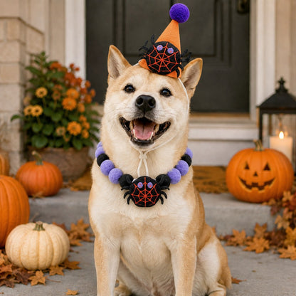 Ortekor Halloween Pet Hat & Pom-Pom Collar Set for Dogs & Cats – Easy 2-Piece Costume for Parties, Trick-or-Treating & Photos