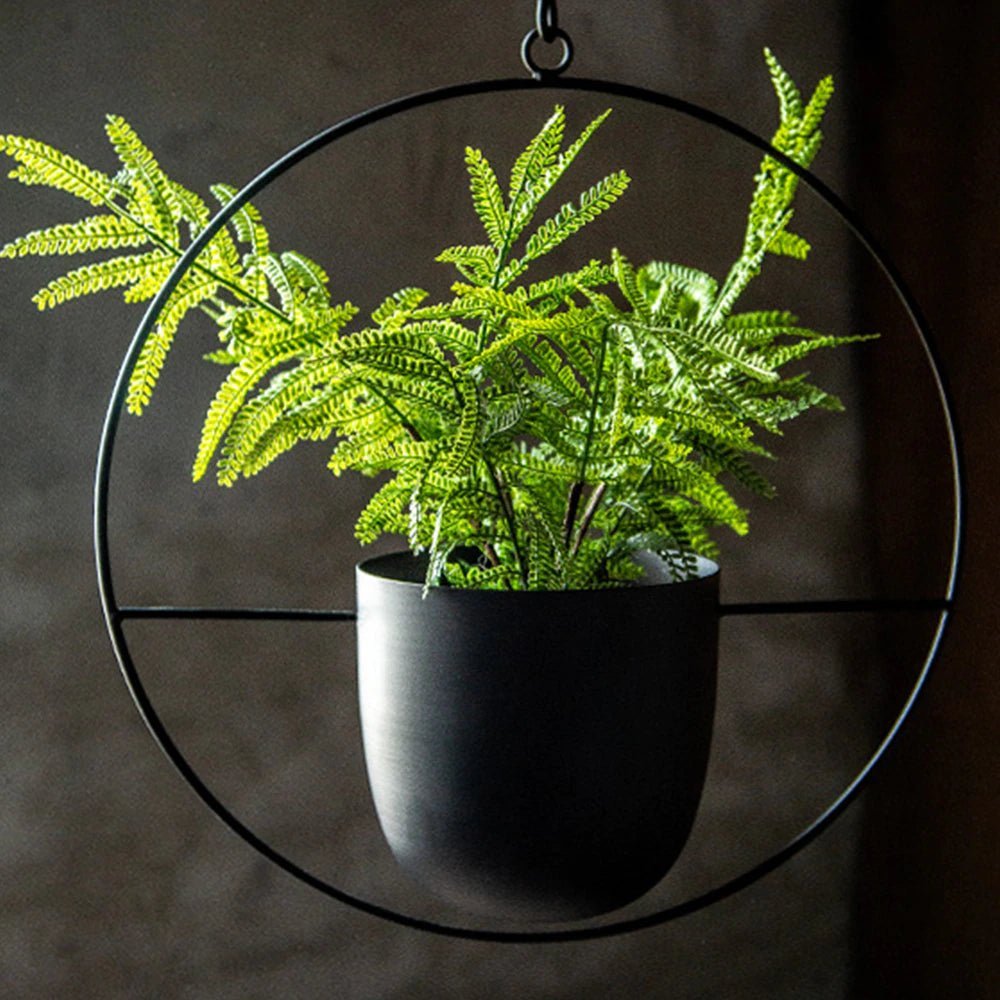 Wall-Mount Planter Pot with Circular Metal Frame for Indoor Outdoor Plants, Herbs & Succulents in Living Room, Kitchen