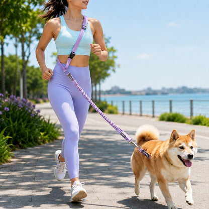 Ortekor Hands-Free Shock-Absorbing Dog Leash for Running, Walking & Car Travel - Bungee Leash Helps Reduce Pulling