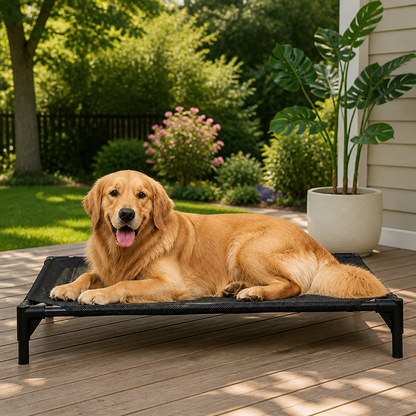 Ortekor Elevated Cooling Mesh Dog Bed