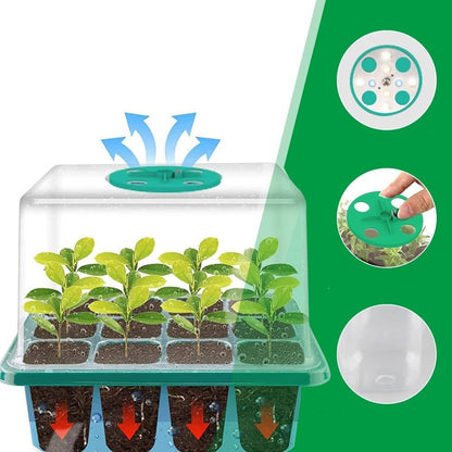 Indoor Seed Starting Kit with LED Grow Lamp for Herbs, Vegetables & Flowers – Year-Round Growing System for Home