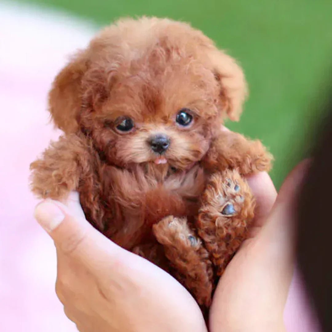 Juguete de peluche animado realista para perro, funciona con pilas, suave, compañero de abrazos para niños y adultos mayores, alternativa a mascota de compañía