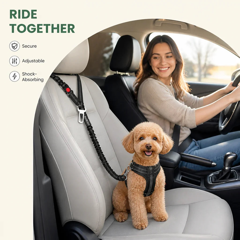 Ortekor Adjustable Reflective & Anti-Shock Harness Leash (Seat Tether)
