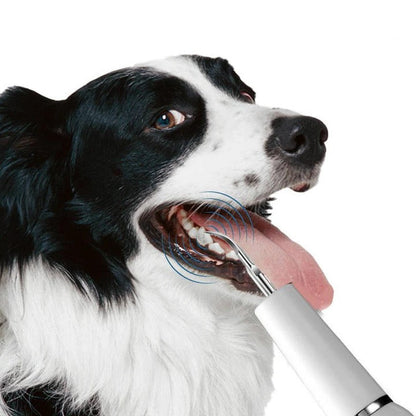 Limpiador dental fácil para perros