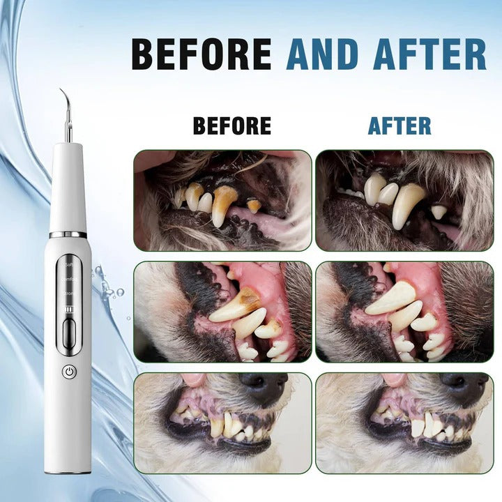 Limpiador dental fácil para perros