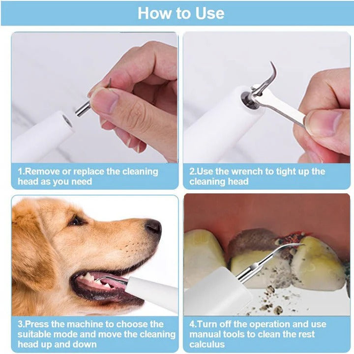Limpiador dental fácil para perros