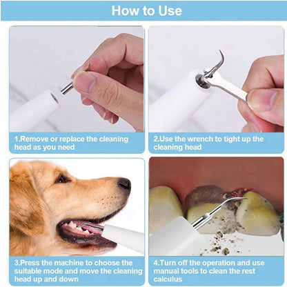 Limpiador dental fácil para perros