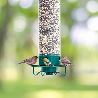 Comedero para aves silvestres con tubo de plástico transparente